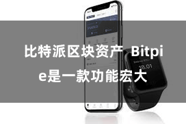 比特派区块资产 Bitpie是一款功能宏大
