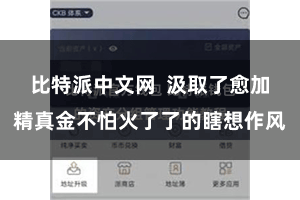 比特派中文网  汲取了愈加精真金不怕火了了的瞎想作风