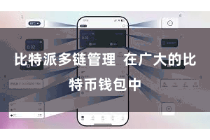 比特派多链管理  在广大的比特币钱包中