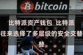 比特派资产钱包  比特派往来选择了多层级的安全交替