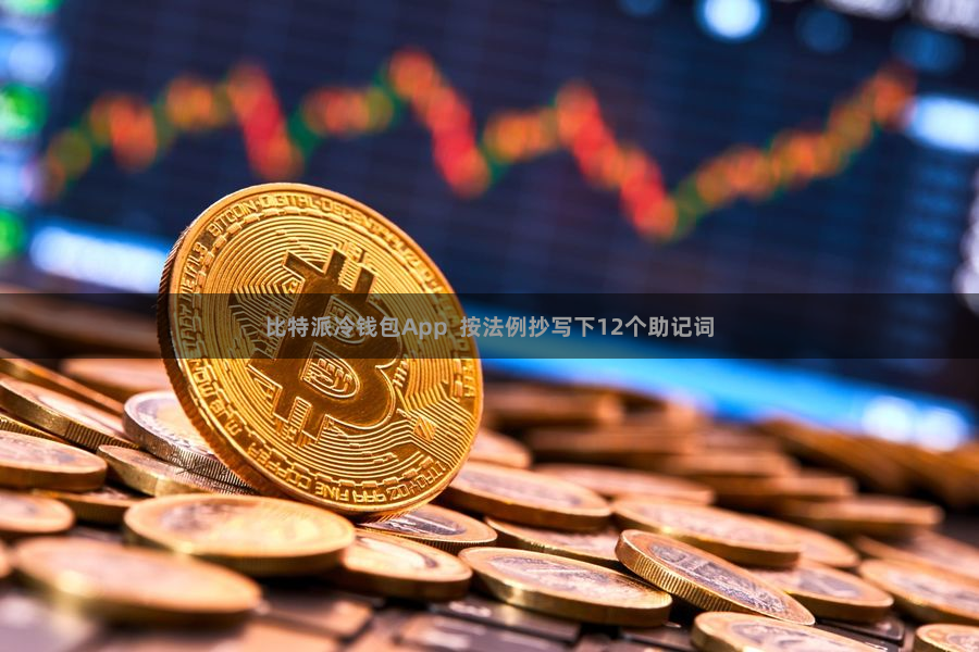 比特派冷钱包App  按法例抄写下12个助记词