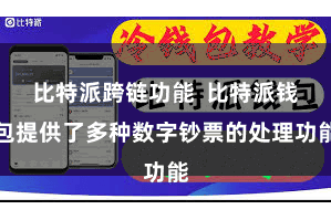 比特派跨链功能  比特派钱包提供了多种数字钞票的处理功能