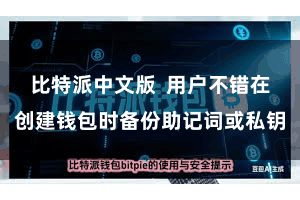 比特派中文版  用户不错在创建钱包时备份助记词或私钥